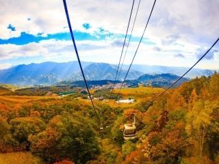 栂池自然園の紅葉写真２