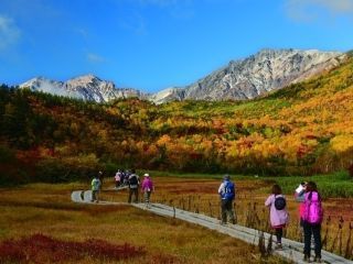 栂池自然園の紅葉の写真３