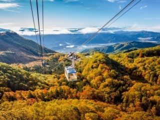 栂池自然園の紅葉の写真４