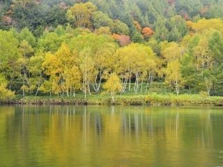 志賀高原の紅葉の写真３