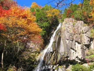 飛騨・美濃せせらぎ街道の紅葉写真２