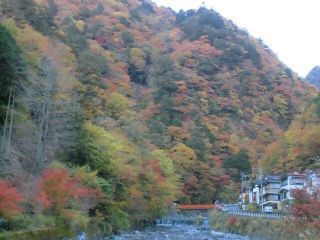 梅ヶ島温泉の紅葉写真１