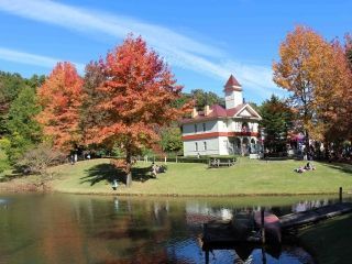 修善寺虹の郷の紅葉写真２