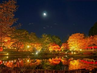 修善寺虹の郷の紅葉の写真４