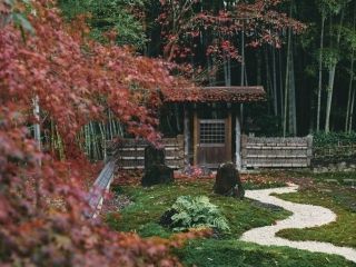 八事山 興正寺の紅葉の写真４