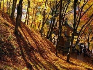 香嵐渓の紅葉写真２