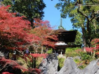 石山寺の紅葉写真１