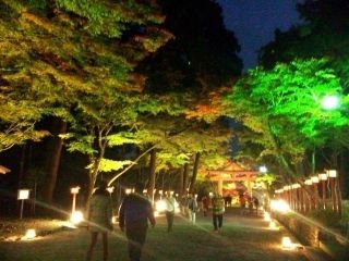 日吉大社の紅葉写真２