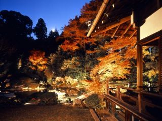 青蓮院門跡の紅葉の写真３