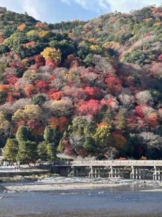 嵐山の紅葉写真１