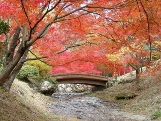 東山公園の紅葉写真１