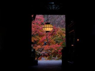 長谷寺の紅葉の写真３