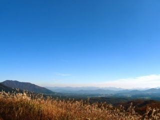 蒜山大山スカイラインの紅葉の写真３