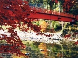 宇甘渓の紅葉写真１