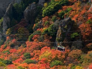 寒霞渓の紅葉写真２