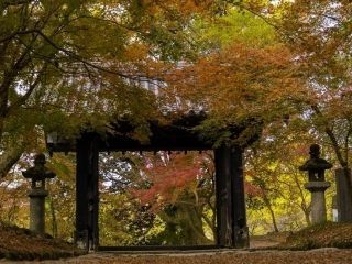秋月城跡の紅葉の写真３