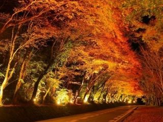 深耶馬渓の紅葉の写真３