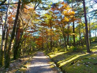 えびの高原の紅葉の写真３