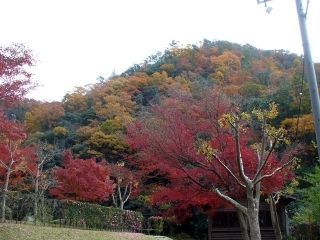 深山峡の紅葉写真１