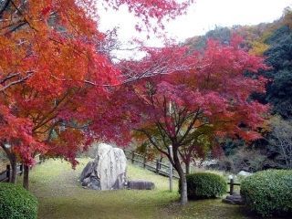 深山峡の紅葉写真２