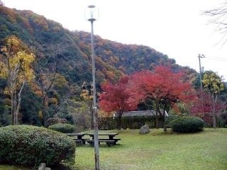 深山峡の紅葉の写真３