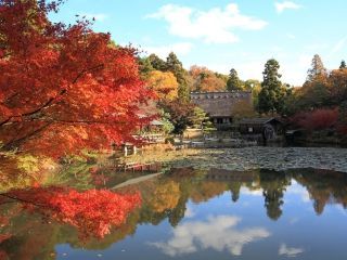 深山峡の紅葉の写真４