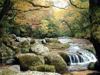 菊池渓谷の紅葉写真１