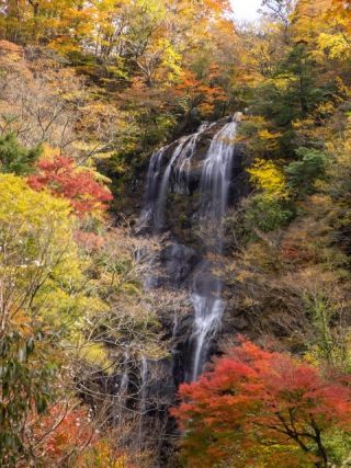 五ヶ瀬渓谷の紅葉写真１