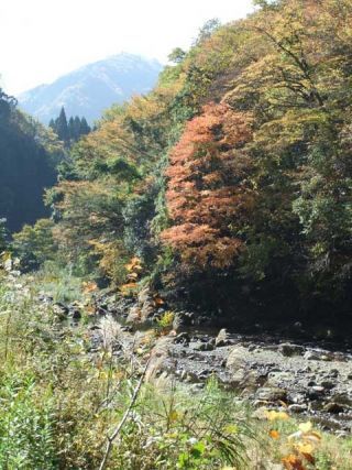 五ヶ瀬渓谷の紅葉の写真３