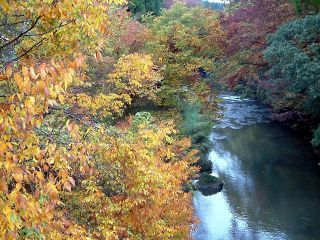 五ヶ瀬渓谷の紅葉の写真４