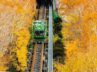 札幌もいわ山ロープウェイの紅葉の写真3