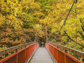 定山渓の紅葉の写真４