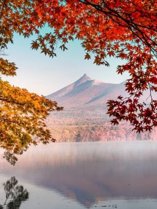 大沼国定公園の紅葉の写真３