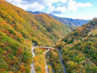 仙人峠の紅葉写真１