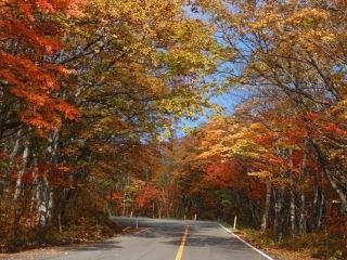 蔵王エコーライン（宮城県側）の紅葉の写真３