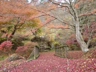きみまち阪県立自然公園の紅葉写真2