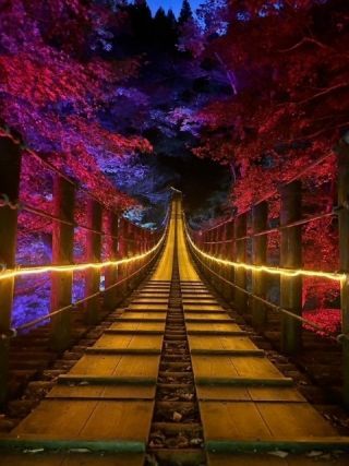 花貫渓谷の紅葉の写真３