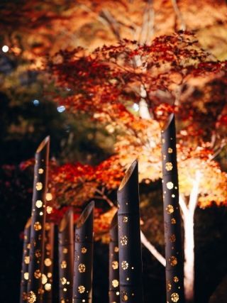 筑波山の紅葉の写真４