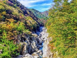 龍王峡の紅葉の写真４