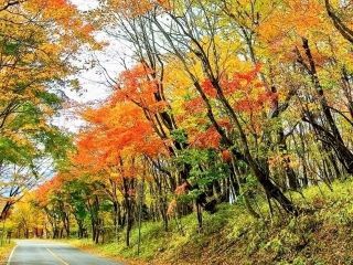 日塩もみじラインの紅葉写真１
