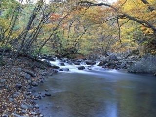 塩原渓谷歩道の紅葉写真２