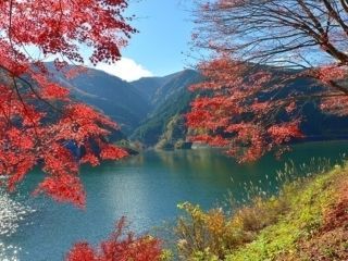 名栗湖の紅葉写真１
