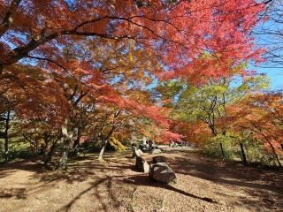 嵐山渓谷の紅葉写真2