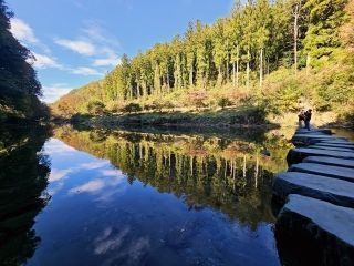 嵐山渓谷の紅葉の写真4