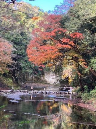 養老渓谷の紅葉の写真３