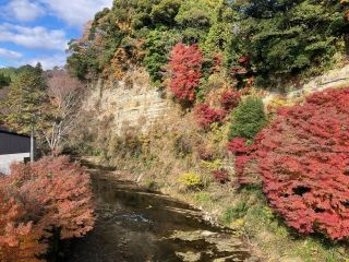 養老渓谷の紅葉の写真４