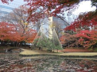 小石川後楽園の紅葉写真２