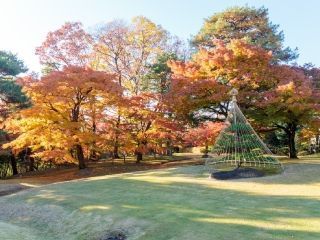 国指定名勝 都立殿ヶ谷戸庭園の紅葉写真１