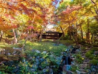 国指定名勝 都立殿ヶ谷戸庭園の紅葉写真２