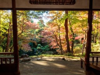 国指定名勝 都立殿ヶ谷戸庭園の紅葉の写真３